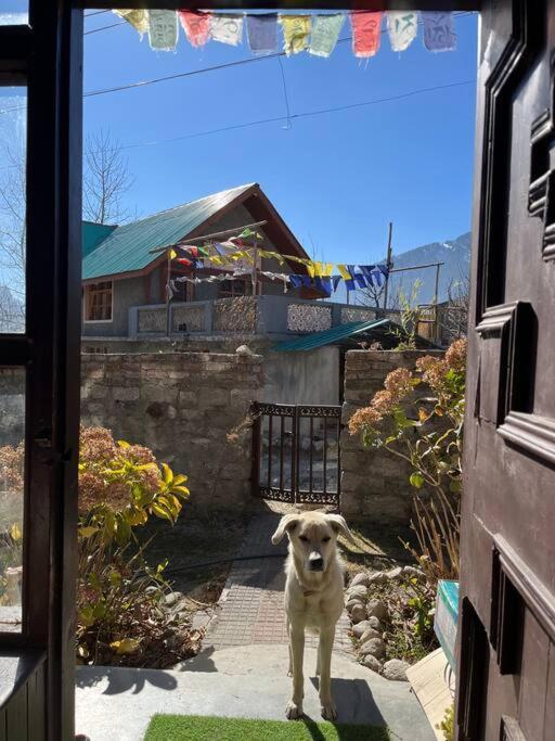 Gharsa - Your Mountain Home Manāli Exteriör bild